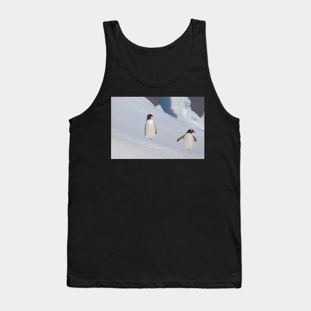 Gentoo Penguins On The Slippery Slope Tank Top by Carole-Anne